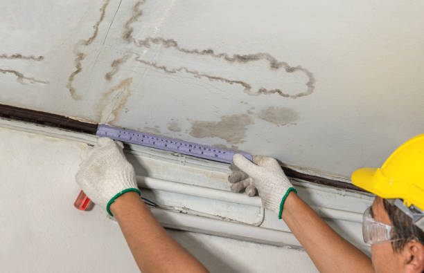 Reliable Mold Remediation contractor in Dumfries, VA by Water Damage Irwin